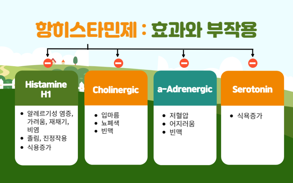 항히스타민제 작용 수용체별 효과와 부작용 정리 표